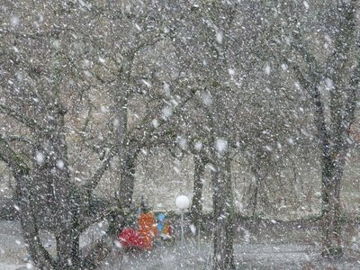 Сильные снегопады накроют Приморский край