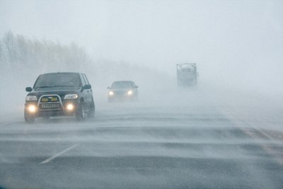 Сильные снегопады придут в Воронежскую область в выходные дни